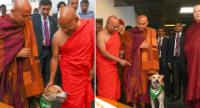 Ven. Pannakara Thero Arrives in SL with “Aloka”